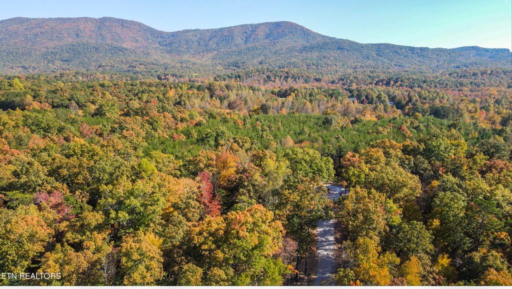 Photo of 102 Cherokee Path, Tellico Plains, TN 37385 (MLS # 1280638)