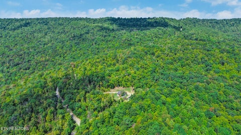 Tiny photo for 715 Crab Mountain Rd, Jamestown, TN 38556 (MLS # 1355551)