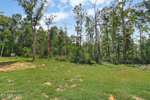 Tiny photo for 715 Crab Mountain Rd, Jamestown, TN 38556 (MLS # 1355551)