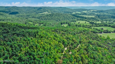 Tiny photo for 715 Crab Mountain Rd, Jamestown, TN 38556 (MLS # 1355551)
