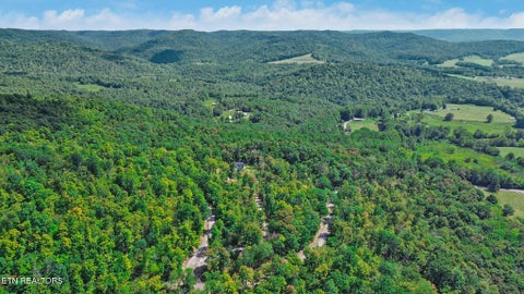 Tiny photo for 715 Crab Mountain Rd, Jamestown, TN 38556 (MLS # 1355551)