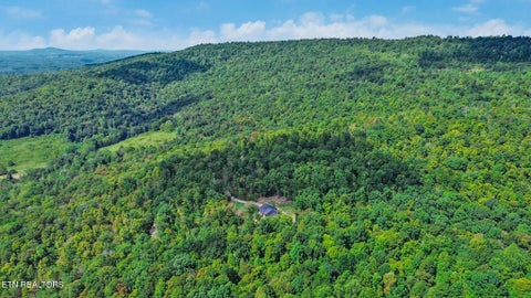 Tiny photo for 715 Crab Mountain Rd, Jamestown, TN 38556 (MLS # 1355551)