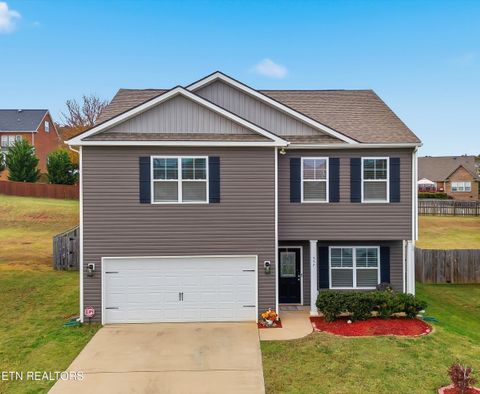 Photo of 557 Smoky Valley Lane, Seymour, TN 37865 (MLS # 1320636)