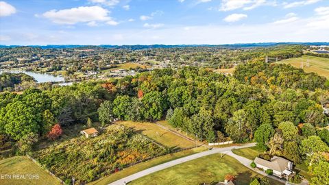 Tiny photo for 2912 Lovingood Way, Maryville, TN 37801 (MLS # 1319350)