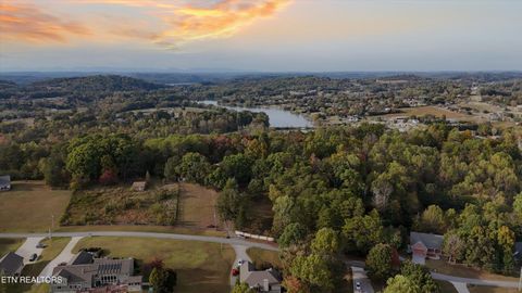 Tiny photo for 2912 Lovingood Way, Maryville, TN 37801 (MLS # 1319350)
