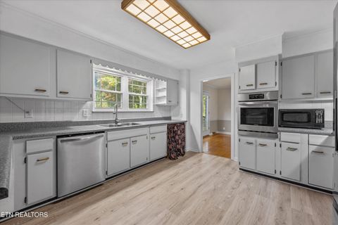 Tiny photo for 2912 Lovingood Way, Maryville, TN 37801 (MLS # 1319350)