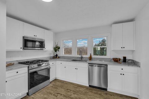 Tiny photo for 251 Country View Road, Crossville, TN 38571 (MLS # 1331111)