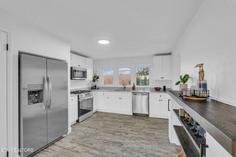 Tiny photo for 251 Country View Road, Crossville, TN 38571 (MLS # 1331111)