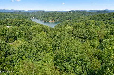 Tiny photo for 00 Chestnut Stump Rd, LaFollette, TN 37766 (MLS # 1298756)