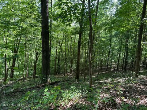 Tiny photo for 00 Chestnut Stump Rd, LaFollette, TN 37766 (MLS # 1298756)