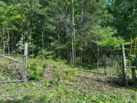 Tiny photo for 00 Chestnut Stump Rd, LaFollette, TN 37766 (MLS # 1298756)