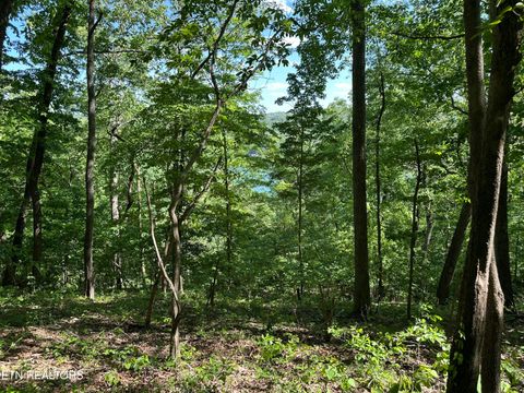 Tiny photo for 00 Chestnut Stump Rd, LaFollette, TN 37766 (MLS # 1298756)