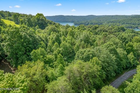 Tiny photo for 00 Chestnut Stump Rd, LaFollette, TN 37766 (MLS # 1298756)