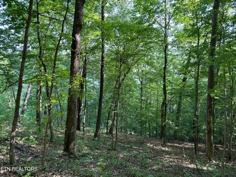 Tiny photo for 00 Chestnut Stump Rd, LaFollette, TN 37766 (MLS # 1298756)