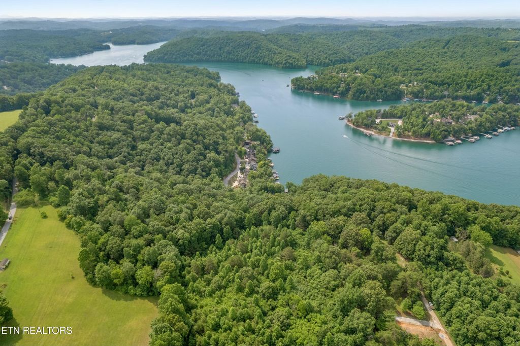 Photo of 00 Chestnut Stump Rd, LaFollette, TN 37766 (MLS # 1298756)