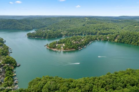 Tiny photo for 00 Chestnut Stump Rd, LaFollette, TN 37766 (MLS # 1298756)