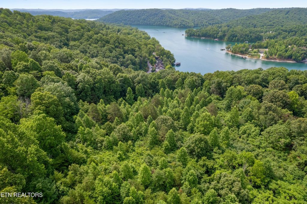 Photo of 00 Chestnut Stump Rd, LaFollette, TN 37766 (MLS # 1298756)