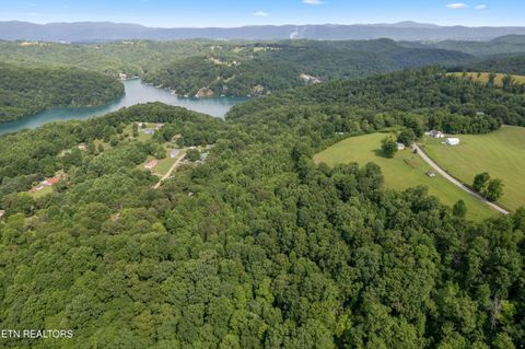 Tiny photo for 00 Chestnut Stump Rd, LaFollette, TN 37766 (MLS # 1298756)