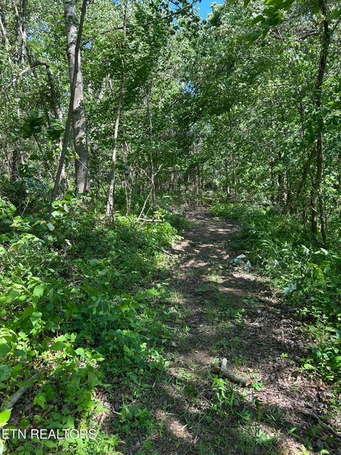 Tiny photo for 00 Chestnut Stump Rd, LaFollette, TN 37766 (MLS # 1298756)