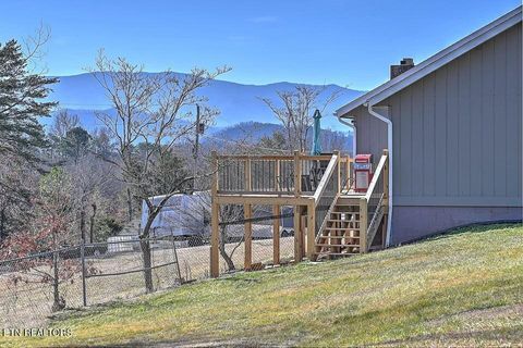 Tiny photo for 2480 Elk Way, Newport, TN 37821 (MLS # 1327739)