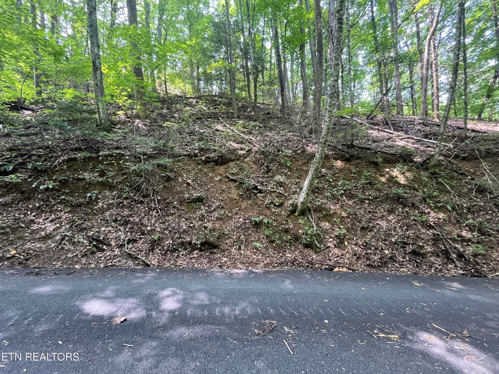 Photo of 334 Ridgefield Drive, Sevierville, TN 37876 (MLS # 1349793)