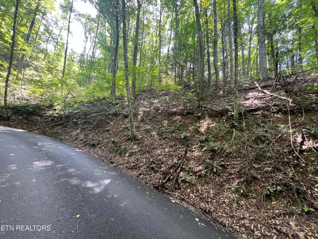 Photo of 334 Ridgefield Drive, Sevierville, TN 37876 (MLS # 1349793)