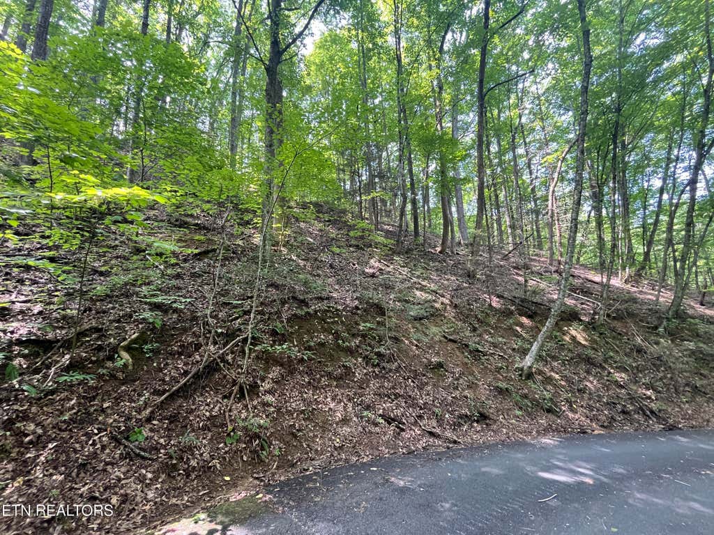 Photo of 334 Ridgefield Drive, Sevierville, TN 37876 (MLS # 1349793)