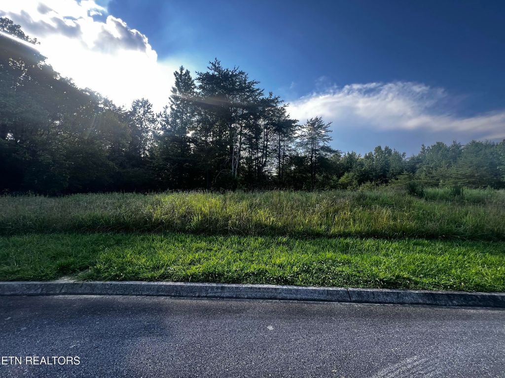 Photo of CREEKSIDE DR Drive, Harriman, TN 37748 (MLS # 1306102)