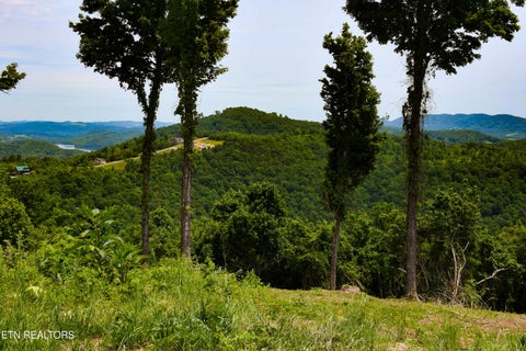 Tiny photo for 18 CROWN HILL, Maynardville, TN 37807 (MLS # 1342268)