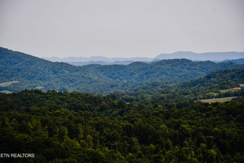 Tiny photo for 18 CROWN HILL, Maynardville, TN 37807 (MLS # 1342268)