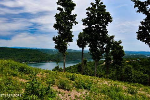 Tiny photo for 18 CROWN HILL, Maynardville, TN 37807 (MLS # 1342268)