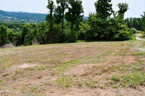 Tiny photo for 18 CROWN HILL, Maynardville, TN 37807 (MLS # 1342268)