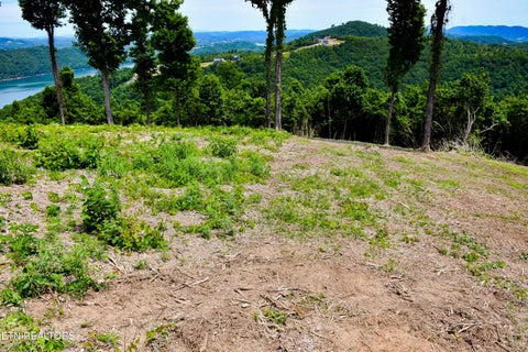 Tiny photo for 18 CROWN HILL, Maynardville, TN 37807 (MLS # 1342268)