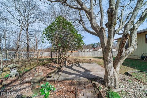 Tiny photo for 5917 W Pine Lane, Knoxville, TN 37909 (MLS # 1326395)