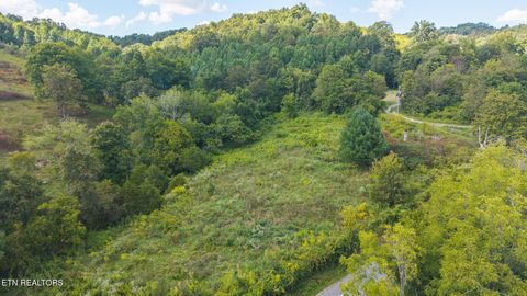Photo of 3341 Stoney Fork Rd, Sneedville, TN 37869 (MLS # 1317818)