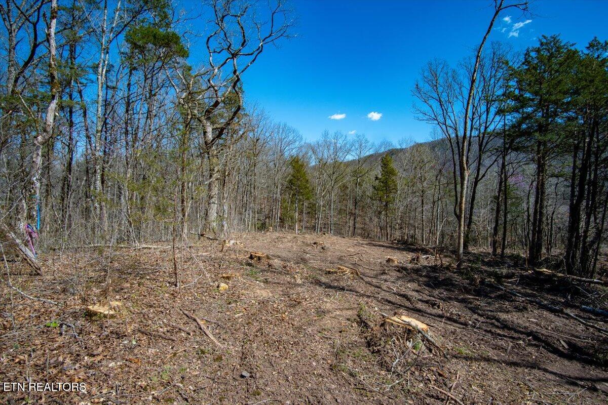 Wolfenbarger Tract 1
