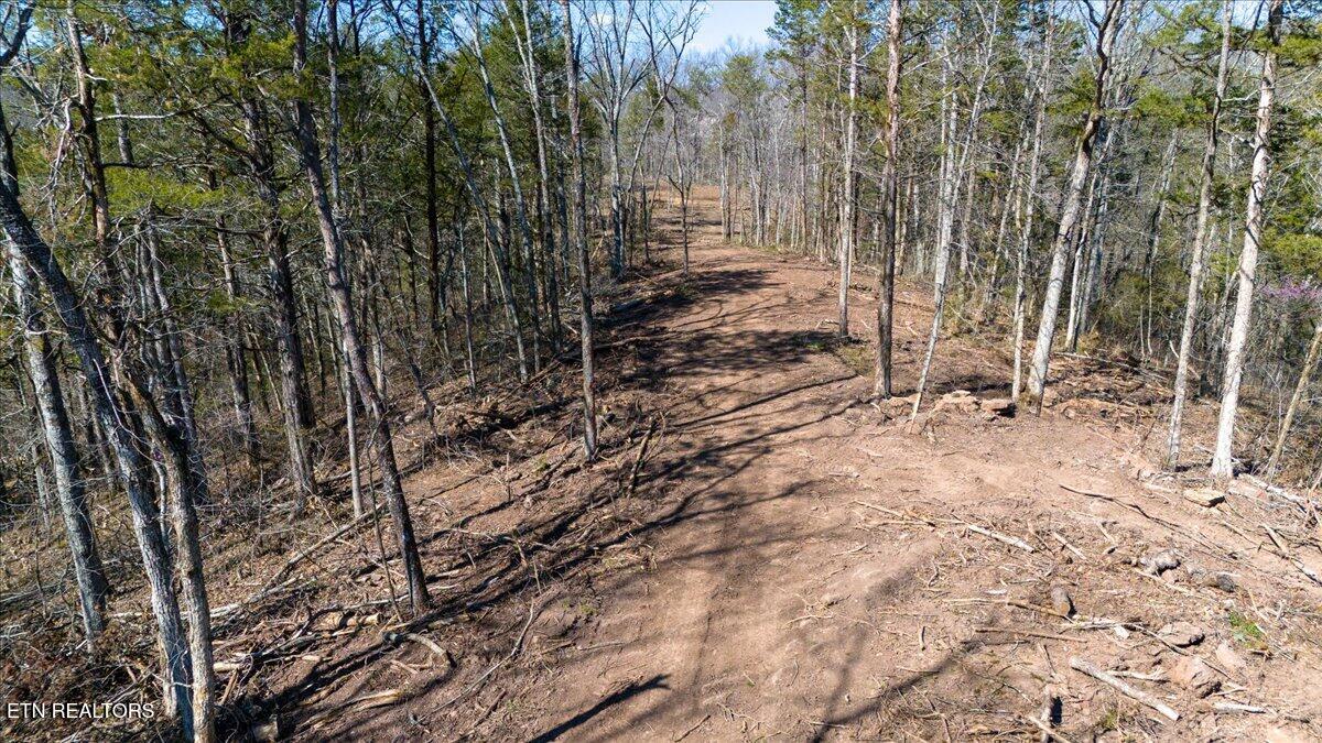 Wolfenbarger Tract 1