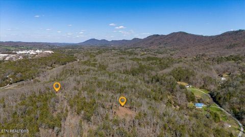 Wolfenbarger Tract 1 Luttrell TN 37779