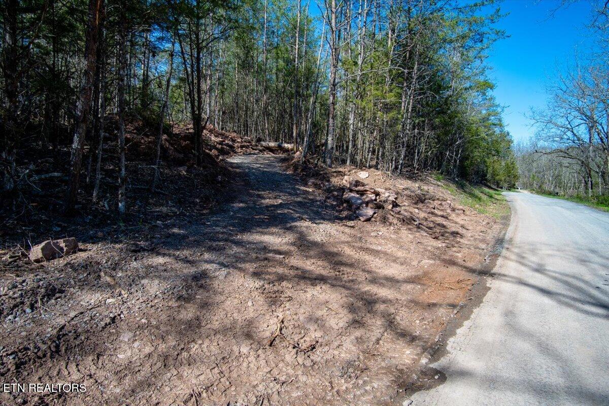 Wolfenbarger Tract 1