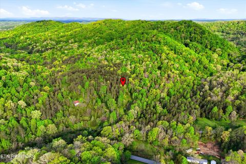 Tiny photo for 416 Satterfield Rd, Luttrell, TN 37779 (MLS # 1337784)