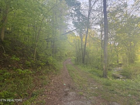 Tiny photo for 416 Satterfield Rd, Luttrell, TN 37779 (MLS # 1337784)