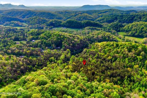 Tiny photo for 416 Satterfield Rd, Luttrell, TN 37779 (MLS # 1337784)