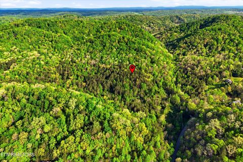 Tiny photo for 416 Satterfield Rd, Luttrell, TN 37779 (MLS # 1337784)