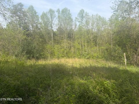 Tiny photo for 416 Satterfield Rd, Luttrell, TN 37779 (MLS # 1337784)
