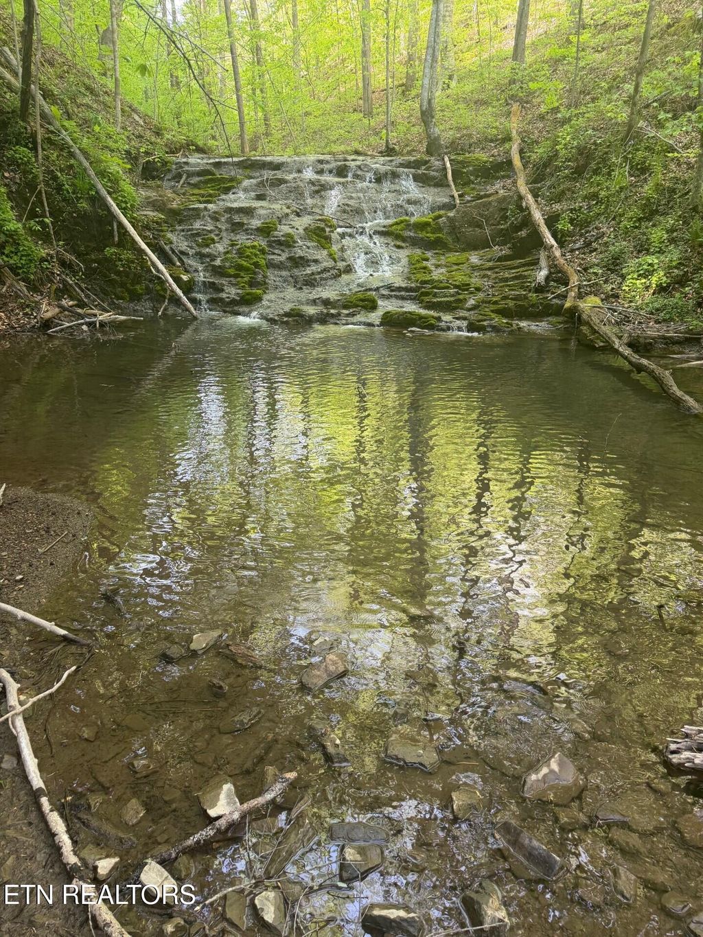 Photo of 416 Satterfield Rd, Luttrell, TN 37779 (MLS # 1337784)