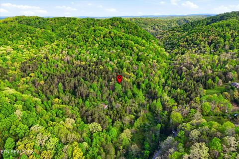 Tiny photo for 416 Satterfield Rd, Luttrell, TN 37779 (MLS # 1337784)