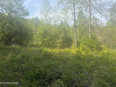 Tiny photo for 416 Satterfield Rd, Luttrell, TN 37779 (MLS # 1337784)
