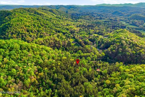 Tiny photo for 416 Satterfield Rd, Luttrell, TN 37779 (MLS # 1337784)