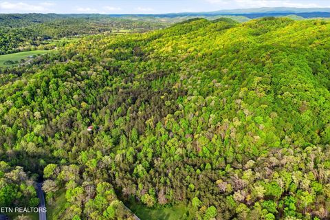 Tiny photo for 416 Satterfield Rd, Luttrell, TN 37779 (MLS # 1337784)