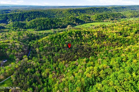 Tiny photo for 416 Satterfield Rd, Luttrell, TN 37779 (MLS # 1337784)
